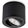 LED Aufbauspot 5W 230V Dimmbar | CCT Modul Schwarz Schwenkbar Rund