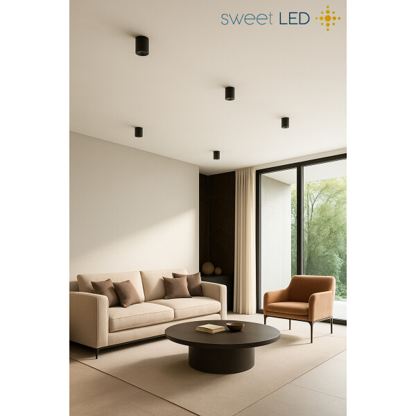 2er Set LED Aufbaustrahler GU10 Schwenkbar Schwarz Gebürstet | 230V Aufbauspots Aluminium Rund