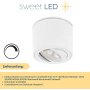 LED Aufbauspots 5W 230V Weiß Schwenkbar | CCT Modul Dimmbar Spot