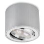 LED Aufbauspot 5W 230V CCT Dimmbar | Alu Rund Schwenkbar Spot