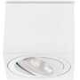 LED Aufbauspot 5W Schwenkbar | 230V CCT Modul Weiß Flach Spots